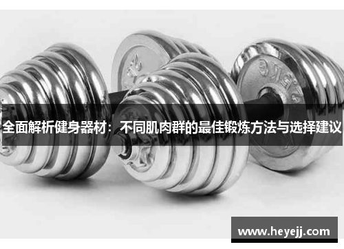 全面解析健身器材：不同肌肉群的最佳锻炼方法与选择建议
