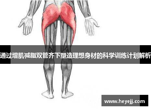 通过增肌减脂双管齐下塑造理想身材的科学训练计划解析